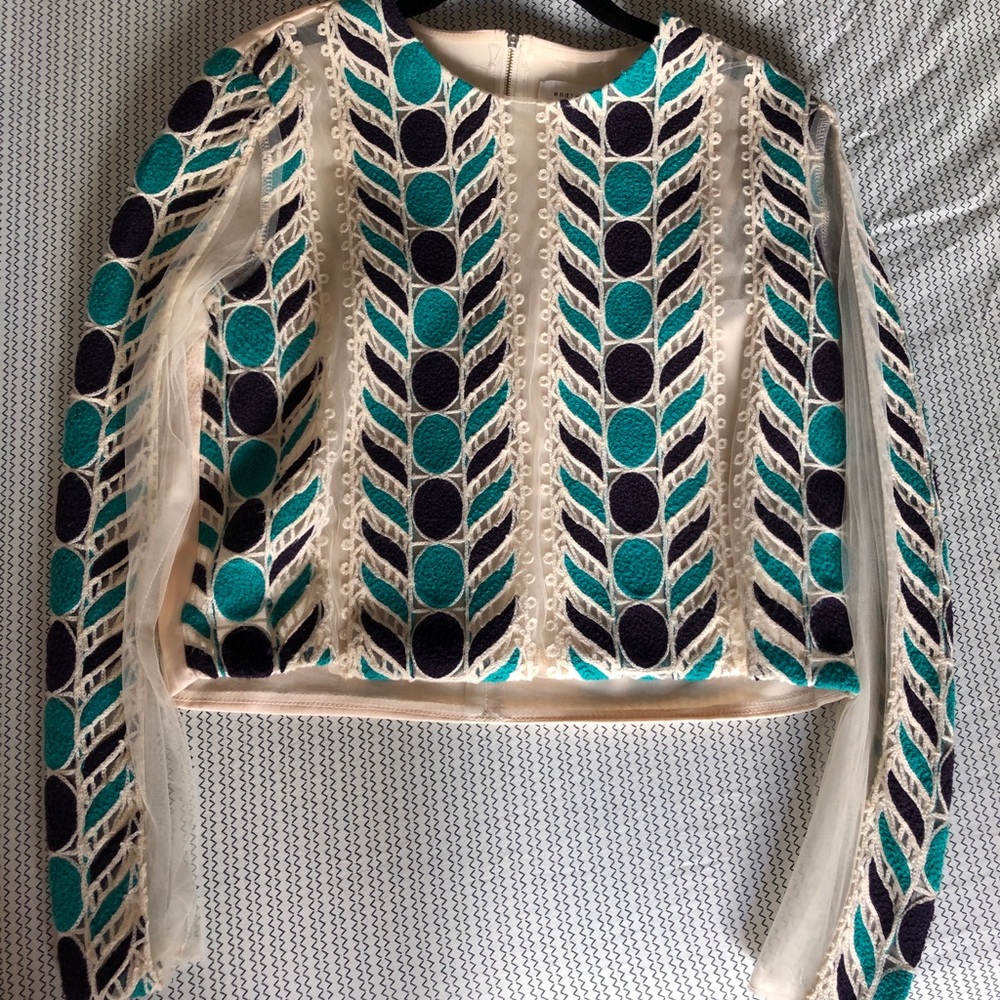 Endless rose embroidered crop top